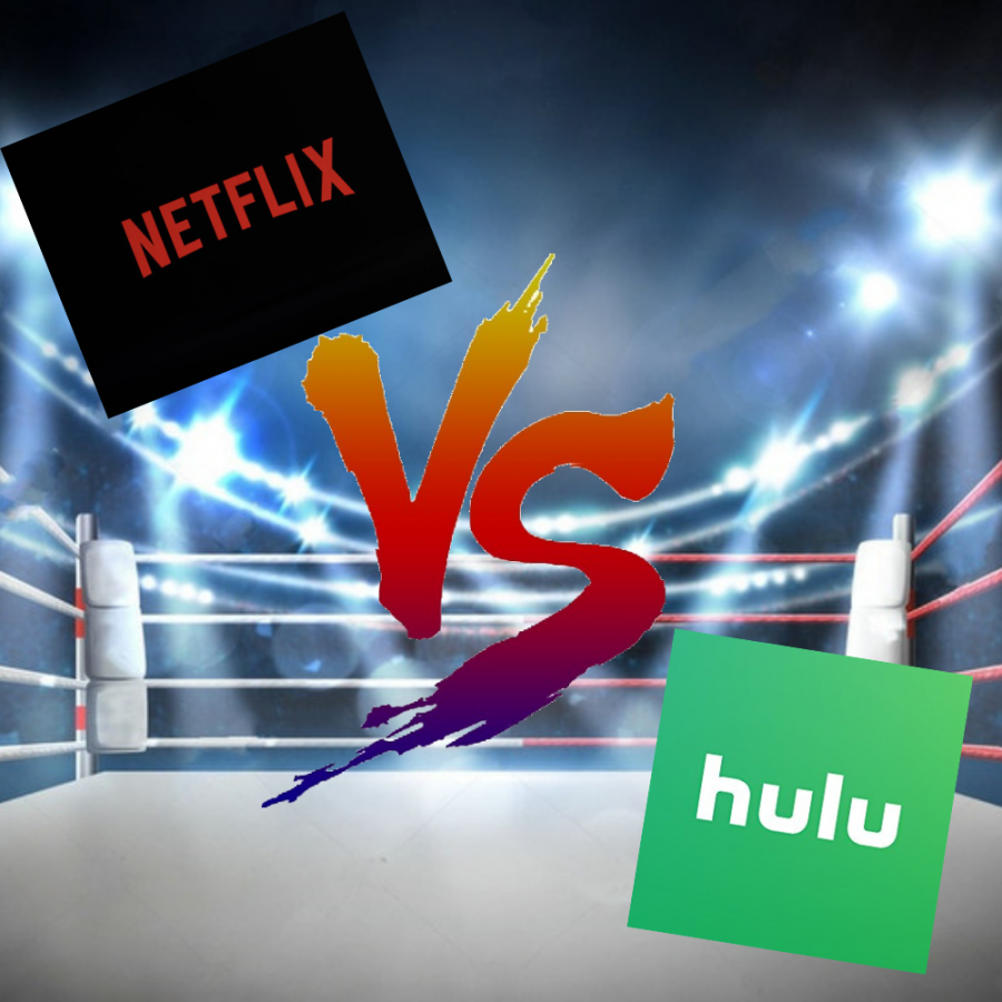 shows on both netflix and hulu