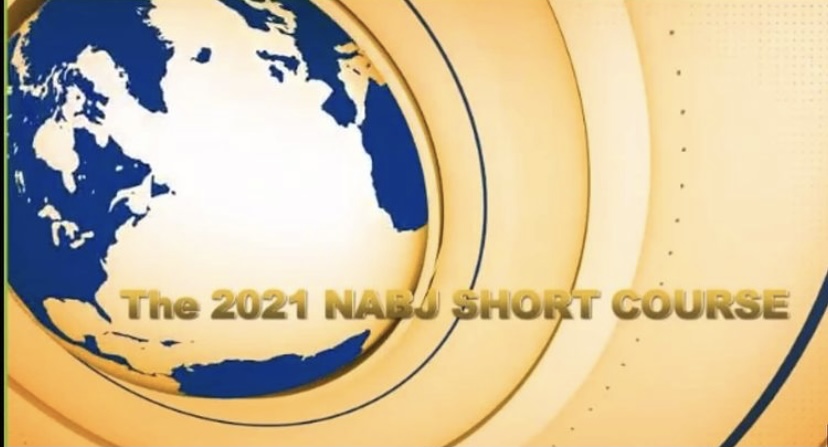 Throughout the short course, rehearsals and auditions were coordinated by career professionals to create a 2021 NABJ Newscast