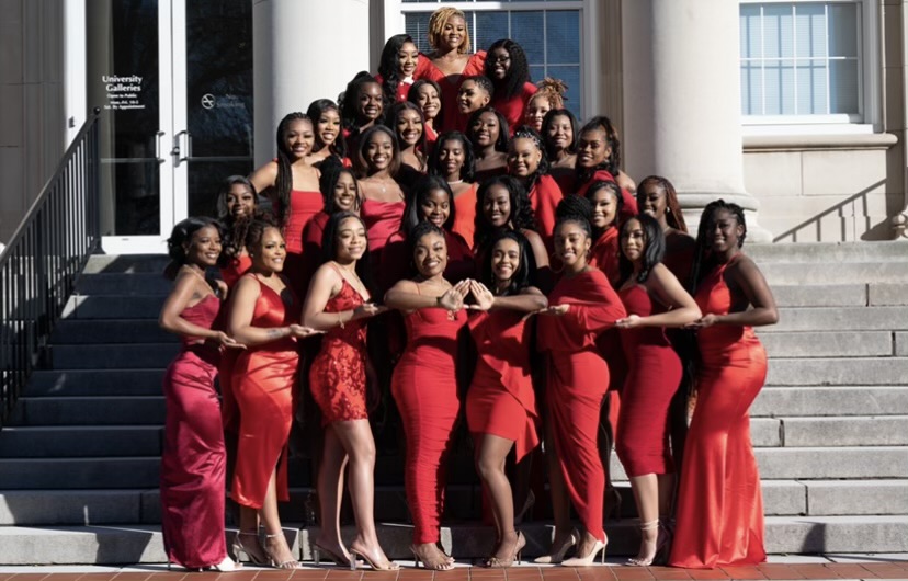 honoring-the-divine-nine-the-alpha-mu-chapter-of-delta-sigma-theta